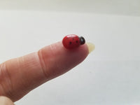 Tiny LadyBugs Set of 10