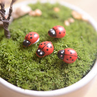 Tiny LadyBugs Set of 10