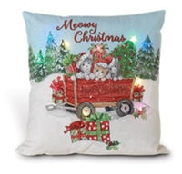 Holiday Lighted Pillows with Puppies & Kitten Designs   GR114560