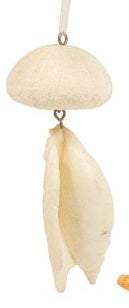 Hanging Resin Sea Shells  X-S551-1